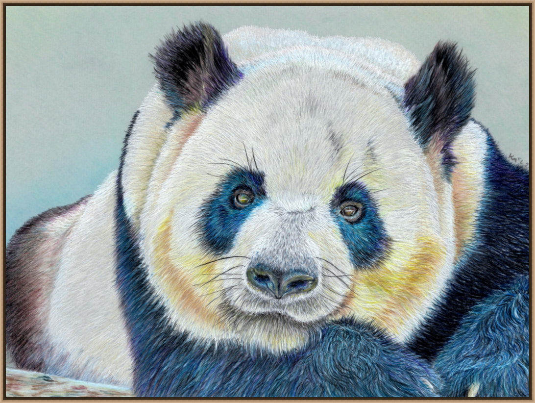 "Daydreamer" Canvas Print