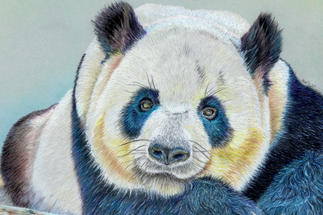 "Daydreamer" Canvas Print