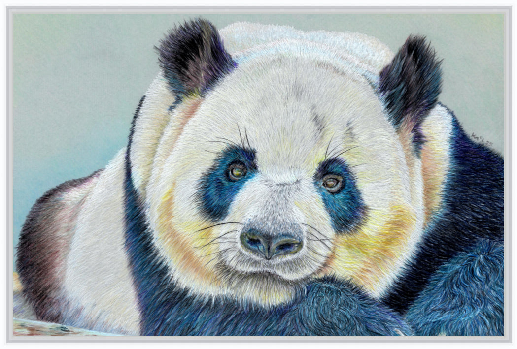 "Daydreamer" Canvas Print