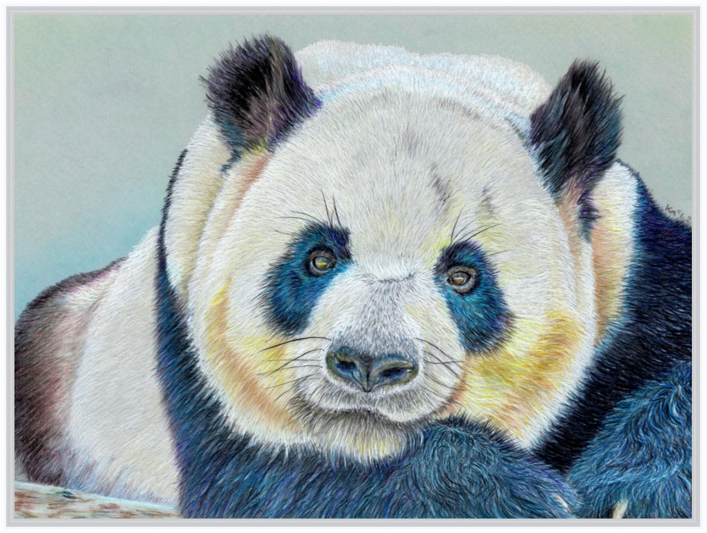 "Daydreamer" Canvas Print