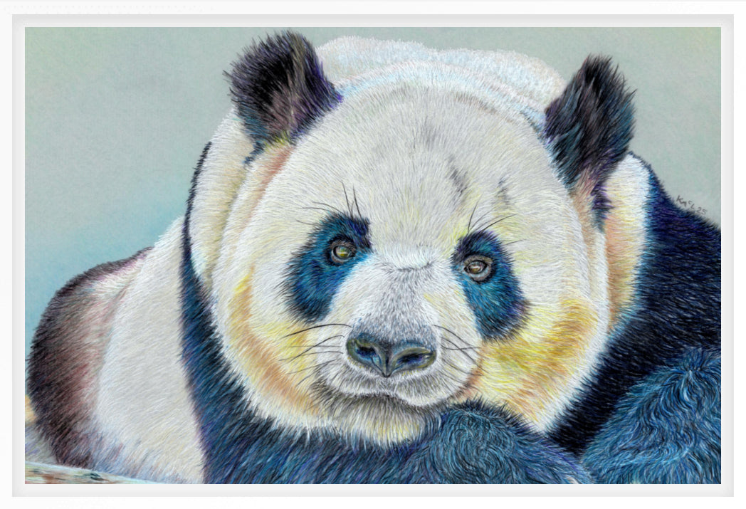 "Daydreamer" Canvas Print