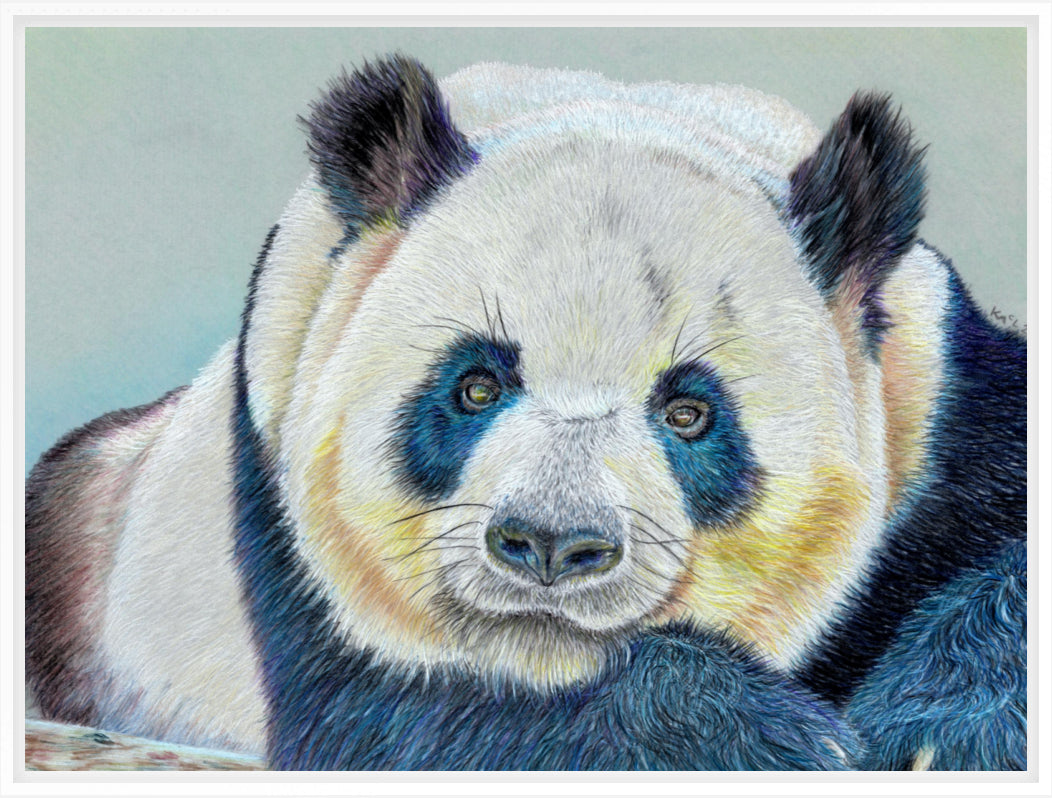 "Daydreamer" Canvas Print