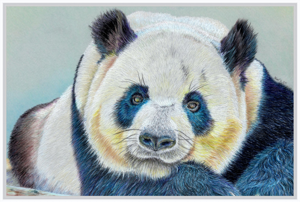 "Daydreamer" Canvas Print