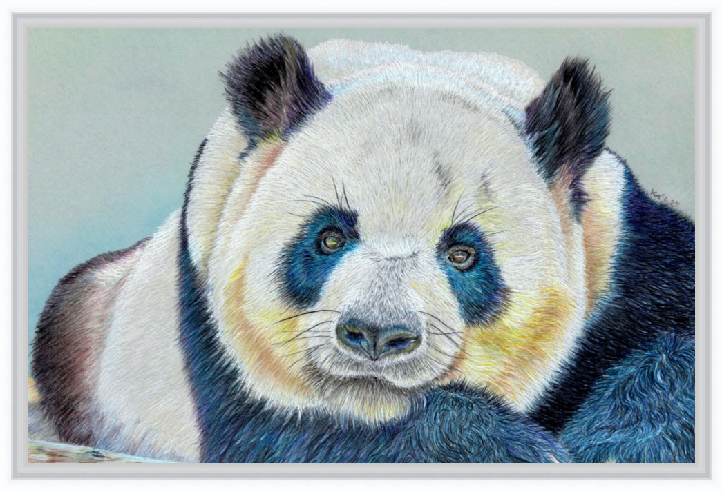 "Daydreamer" Canvas Print