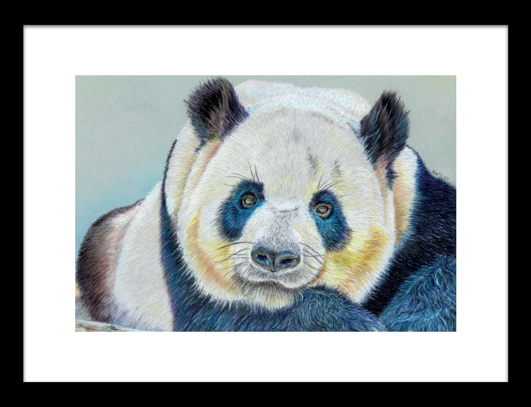 "Daydreamer" Framed Fine Art Print