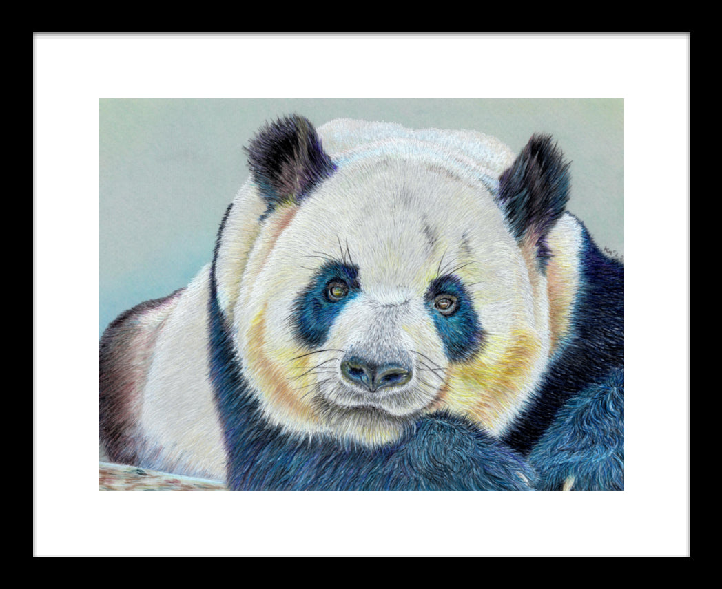 "Daydreamer" Framed Fine Art Print