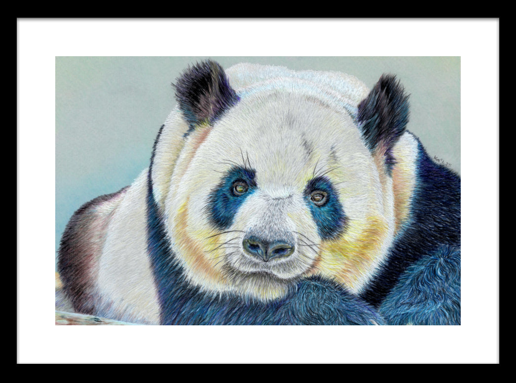 "Daydreamer" Framed Fine Art Print
