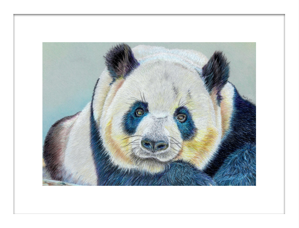 "Daydreamer" Framed Fine Art Print