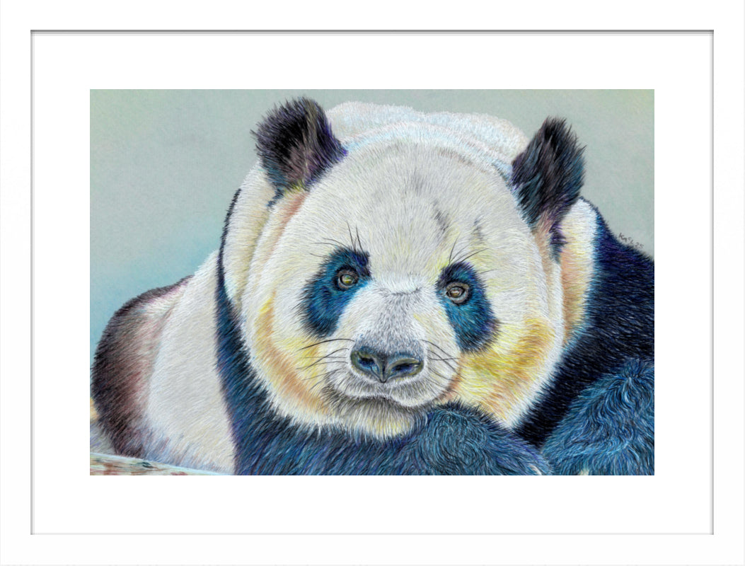 "Daydreamer" Framed Fine Art Print