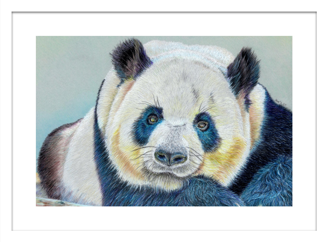 "Daydreamer" Framed Fine Art Print