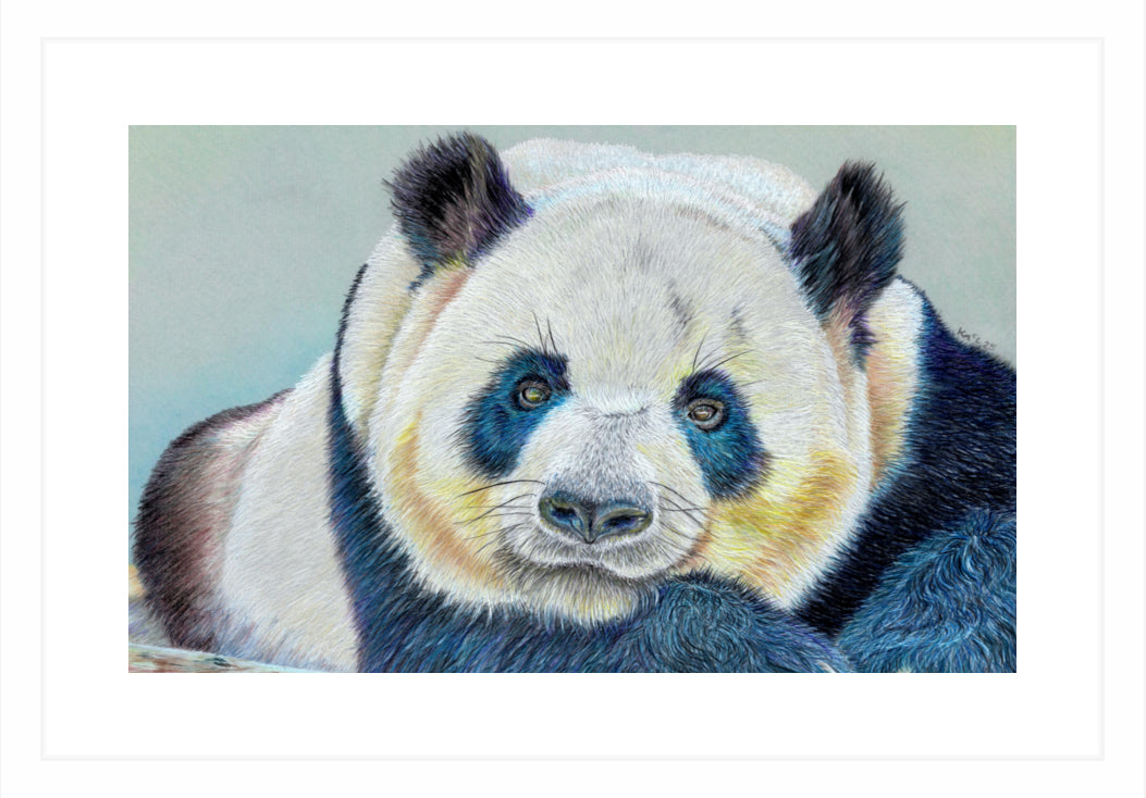 "Daydreamer" Framed Fine Art Print