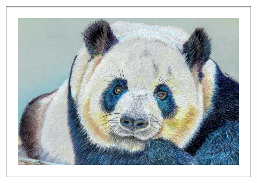 "Daydreamer" Framed Fine Art Print