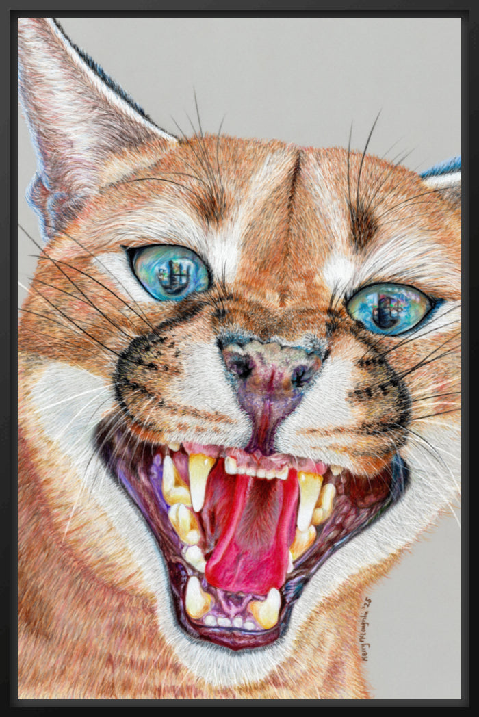 "Dental Check" Canvas Print