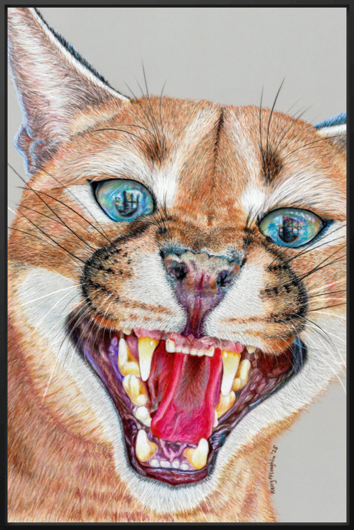 "Dental Check" Canvas Print