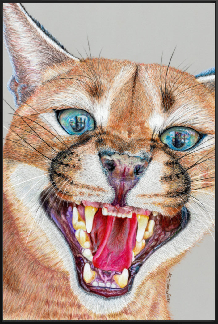 "Dental Check" Canvas Print