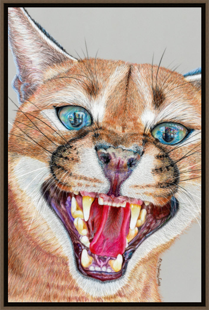 "Dental Check" Canvas Print