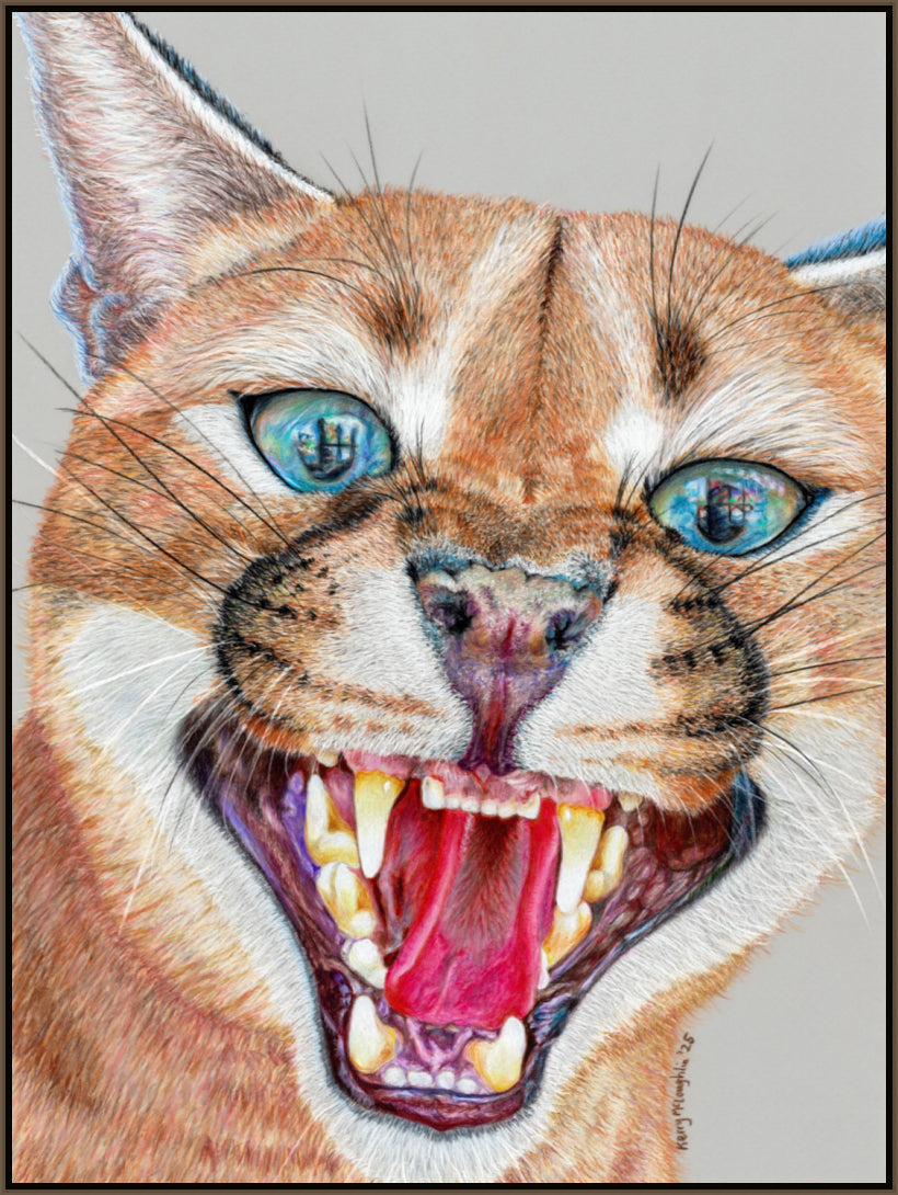 "Dental Check" Canvas Print