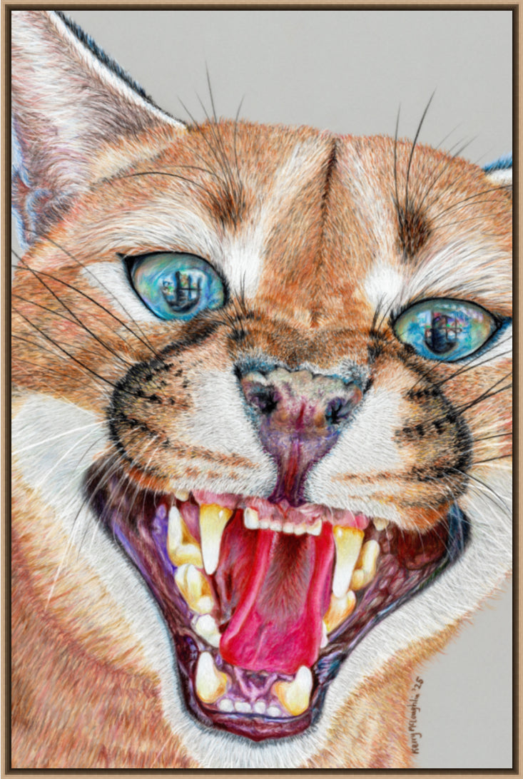 "Dental Check" Canvas Print