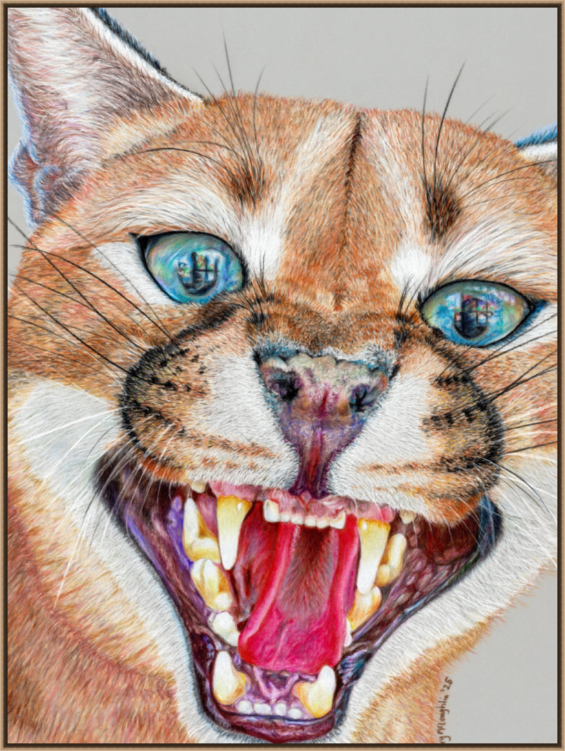 "Dental Check" Canvas Print