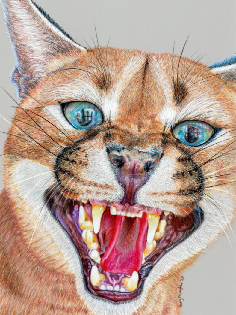 "Dental Check" Canvas Print