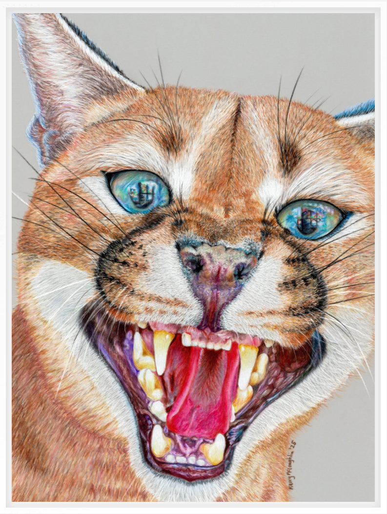 "Dental Check" Canvas Print