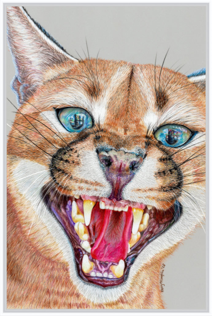 "Dental Check" Canvas Print