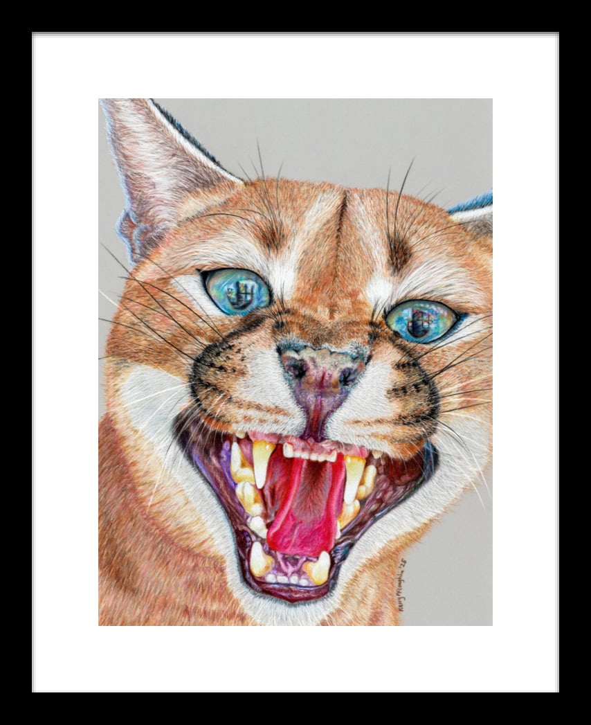 "Dental Check" Framed Fine Art Print