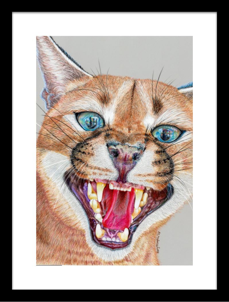"Dental Check" Framed Fine Art Print
