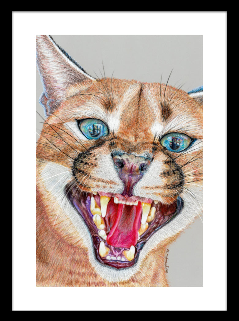 "Dental Check" Framed Fine Art Print