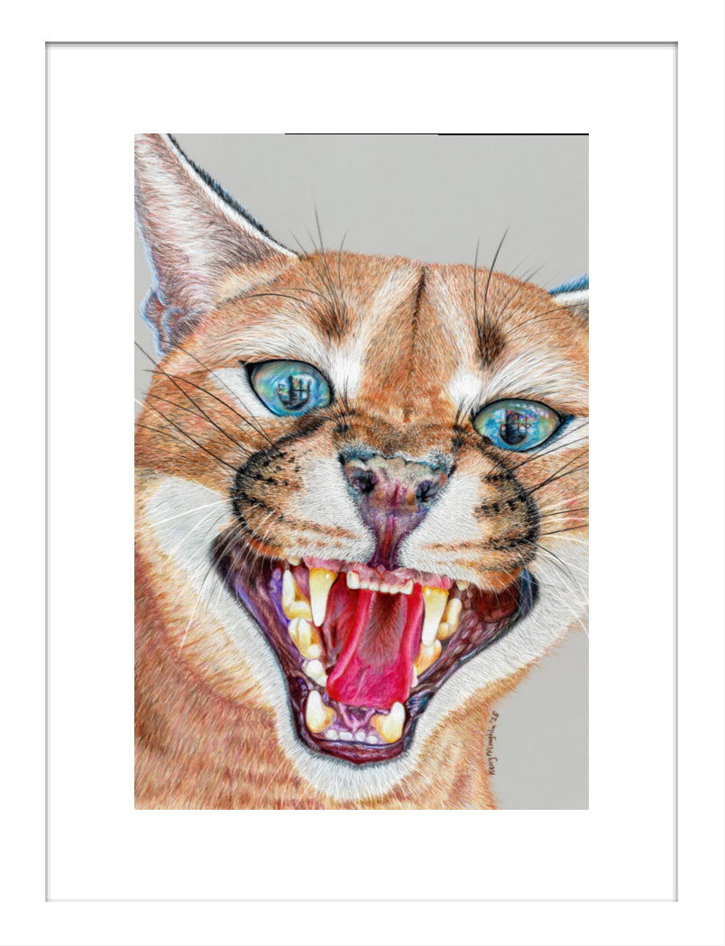 "Dental Check" Framed Fine Art Print