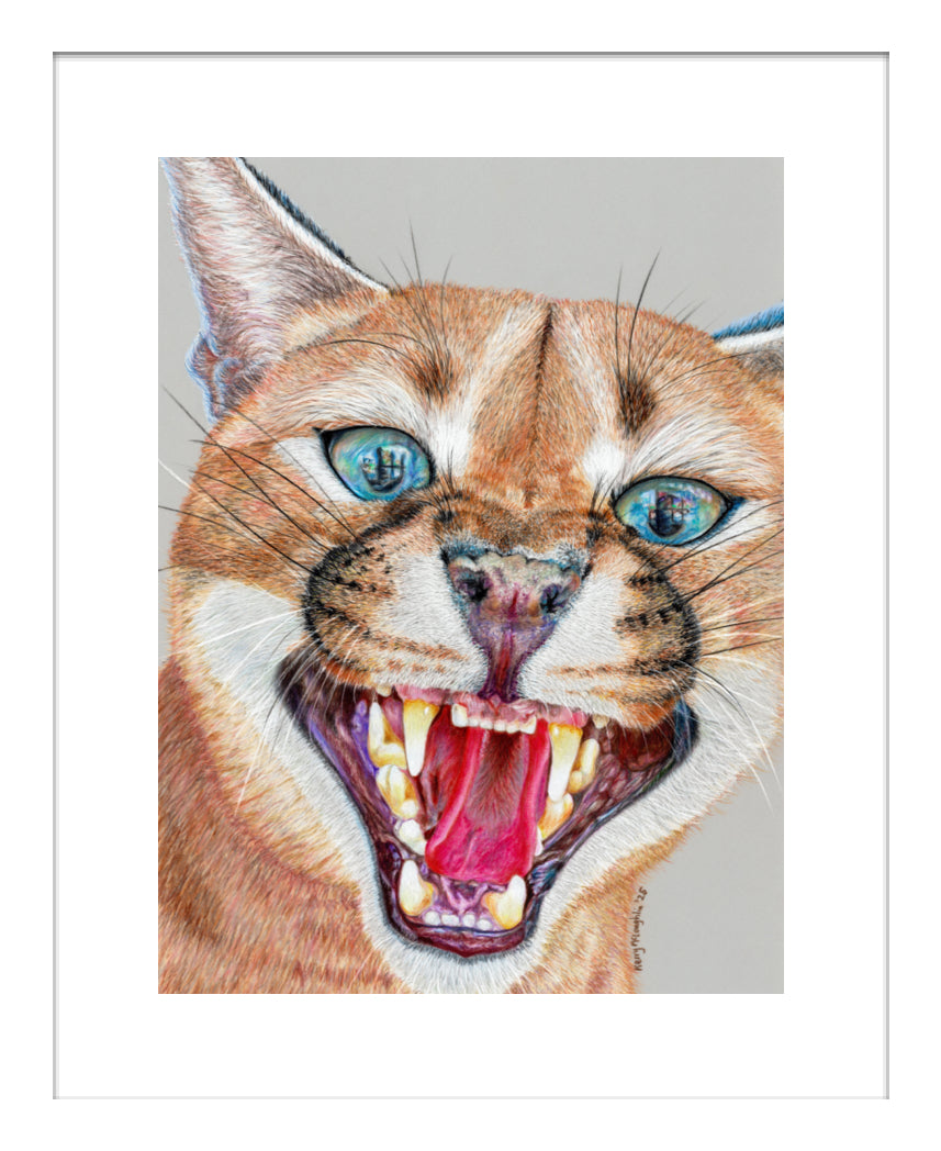 "Dental Check" Framed Fine Art Print