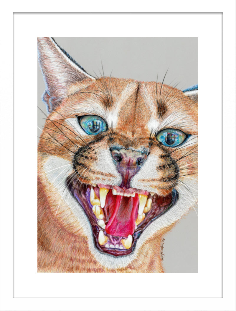 "Dental Check" Framed Fine Art Print