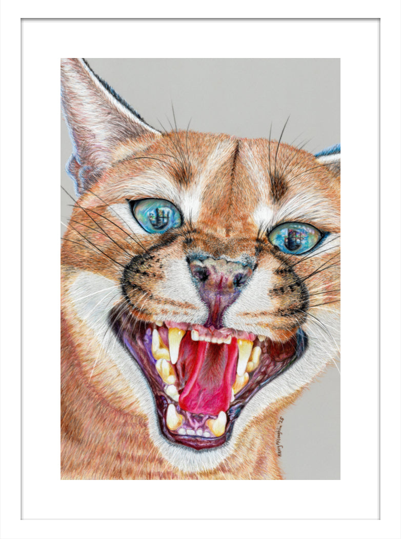 "Dental Check" Framed Fine Art Print