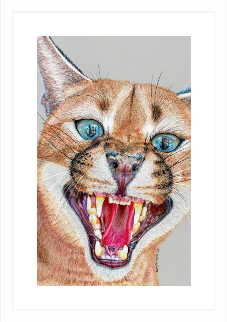 "Dental Check" Framed Fine Art Print