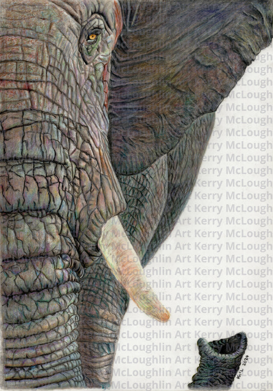 "Memory Lines" Unframed Fine Art Print