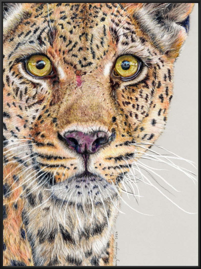 "Fight Or Flight" Canvas Print