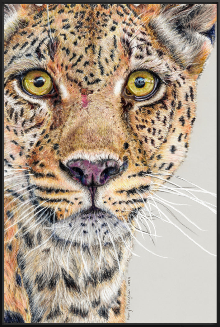 "Fight Or Flight" Canvas Print