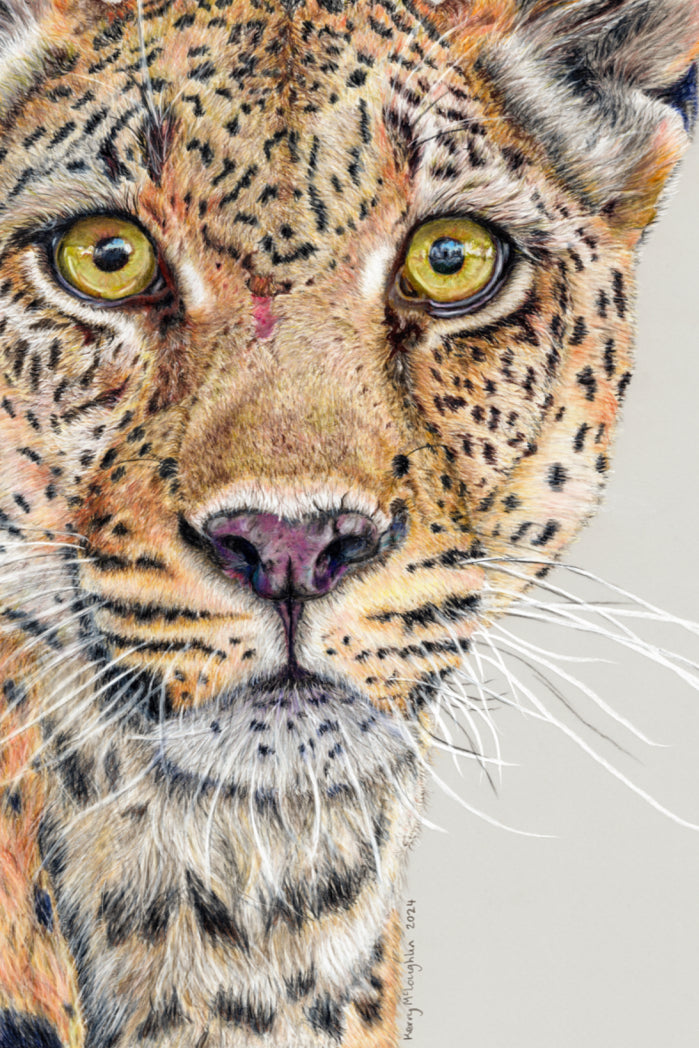 "Fight Or Flight" Canvas Print