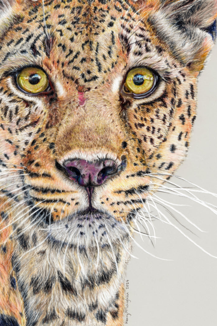 "Fight Or Flight" Canvas Print