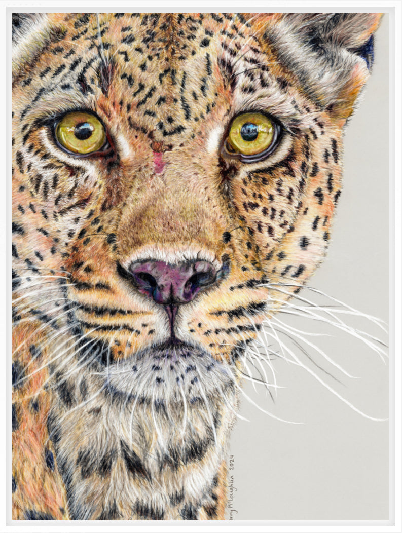 "Fight Or Flight" Canvas Print