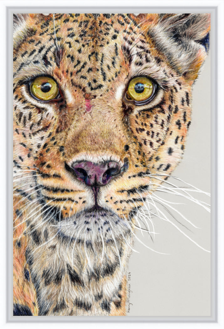 "Fight Or Flight" Canvas Print