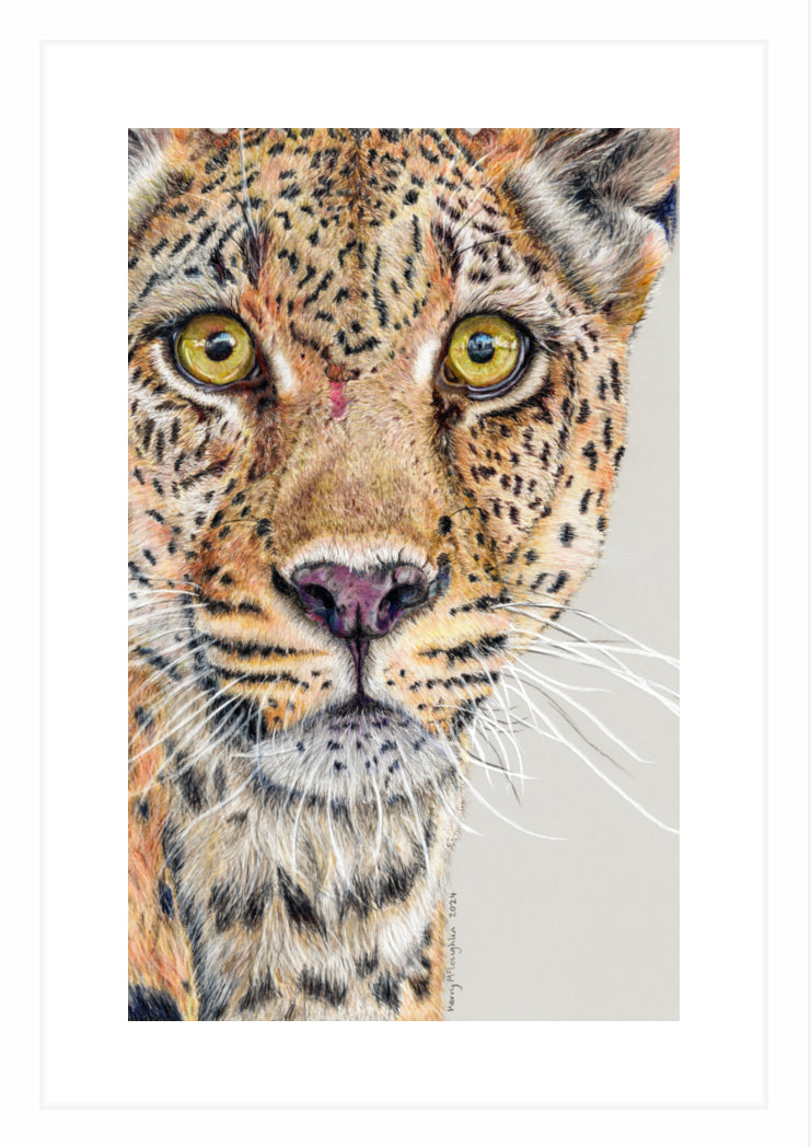 "Fight Or Flight" Framed Fine Art Print