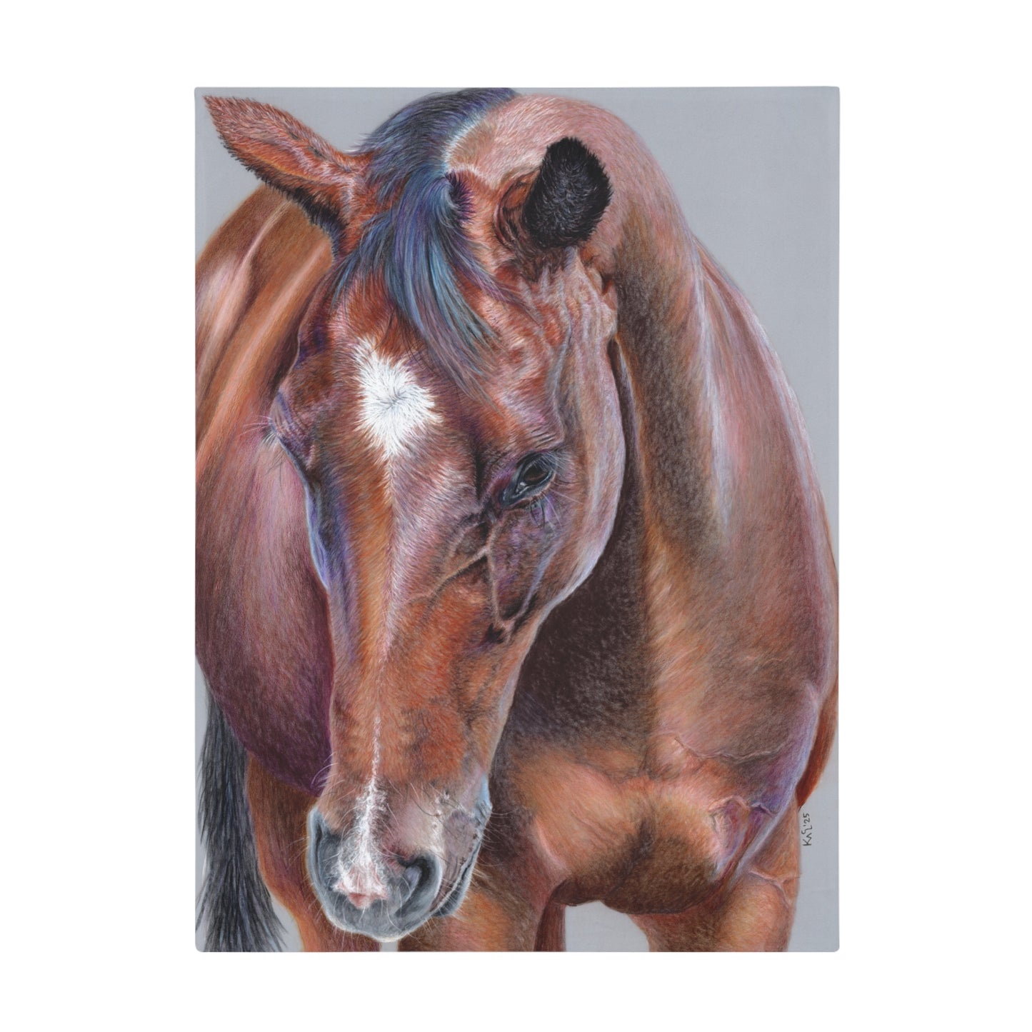 Beauty At Bay Blanket