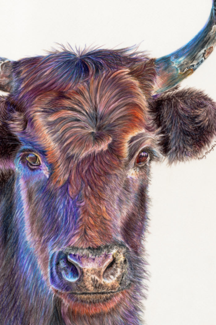 "Haircut" Canvas Print