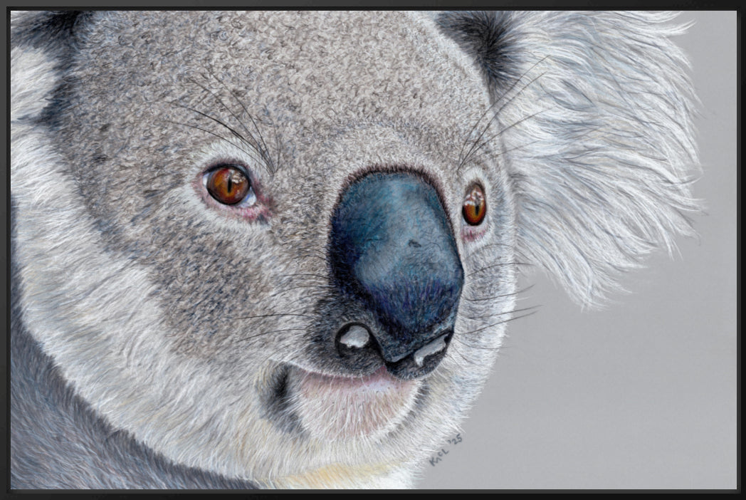 "Handsome" Canvas Print