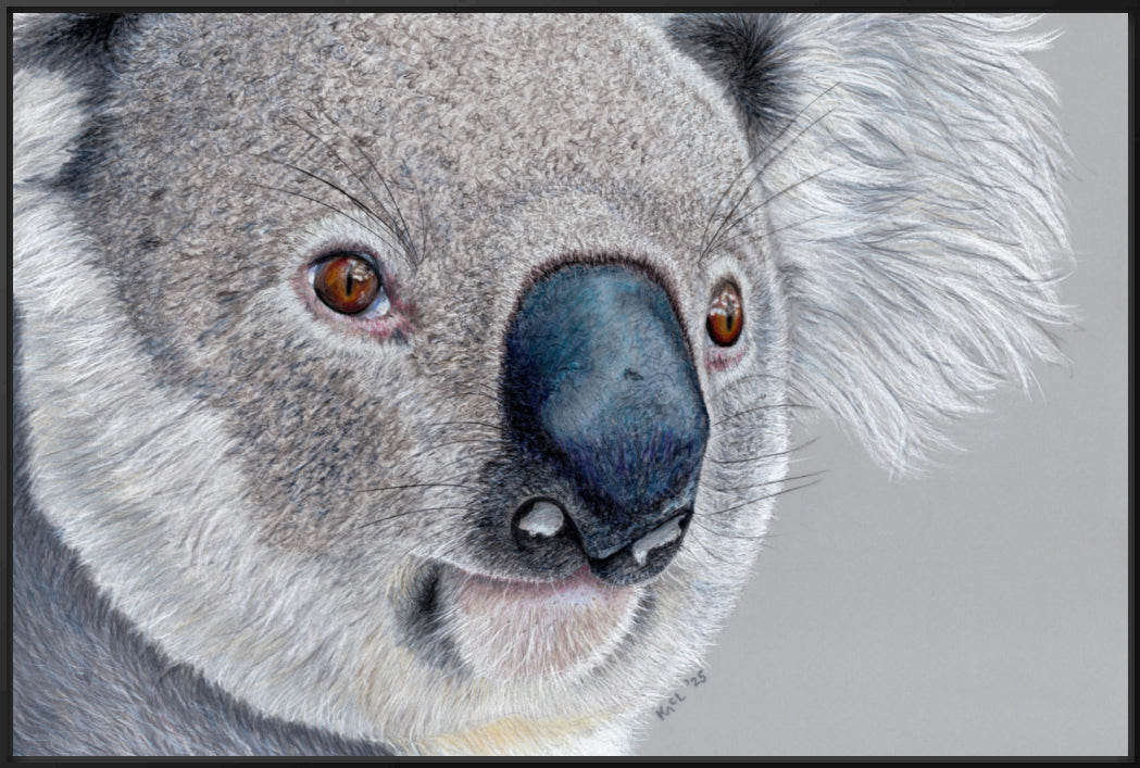 "Handsome" Canvas Print