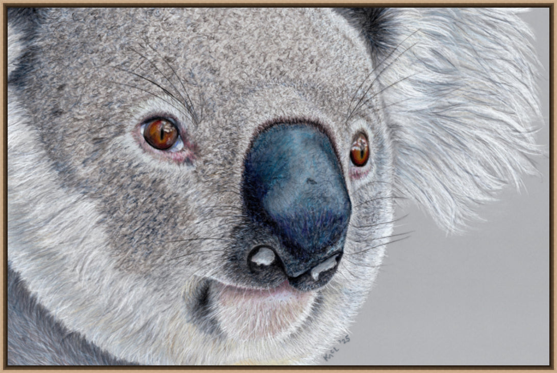 "Handsome" Canvas Print