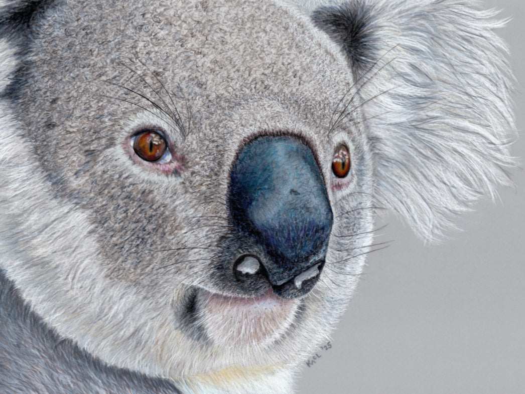 "Handsome" Canvas Print