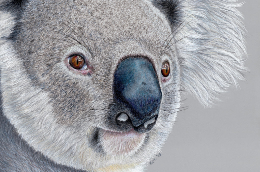 "Handsome" Canvas Print