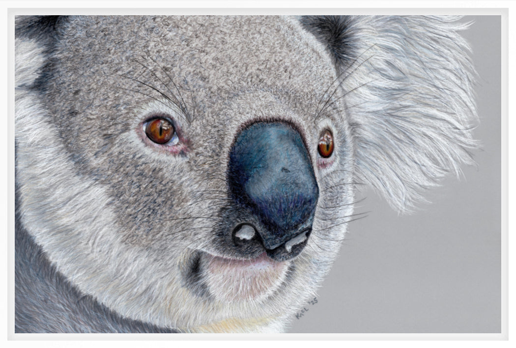 "Handsome" Canvas Print